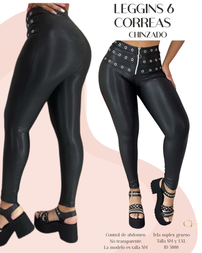 6 Correas Chinzado