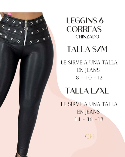 6 Correas Chinzado